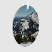 Pics neigeux du Grand Teton (devant)