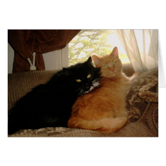 PICT0017 Kitty et Tishabella