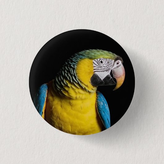 Pictogram: Macaw Parrot Ronde Button 3,2 Cm (Voorkant)