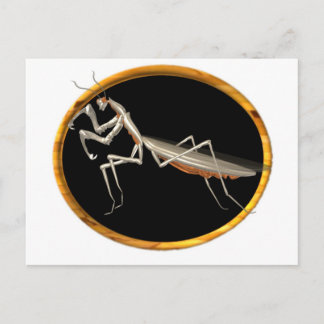 Pictogram Valxart preying mantis natuur Briefkaart