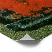 Pictogram van St. Pantaleon van Nicomedia Poster (Hoek)