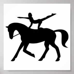pictogram voor paardenvaulatie poster