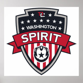 Pictogram Washington Spirit Poster
