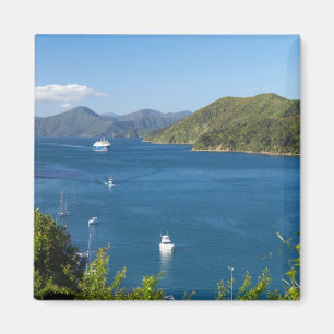 Picton Harbour, Marlborough Sounds, Zuid Magneet