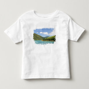 Picton, Nieuw-Zeeland. De gateway tussen Noord Kinder Shirts
