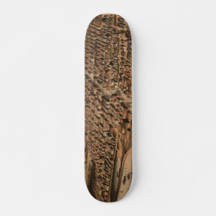 Pictorial Map of Chicago (1871)(2) Skateboard