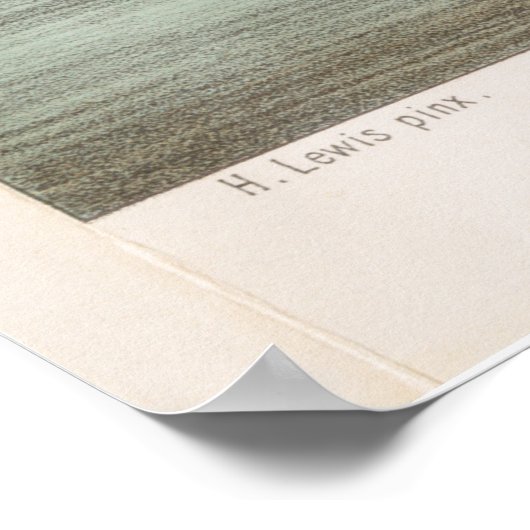 Pictorial Map of New Orleans LA (1854) Poster (Hoek)