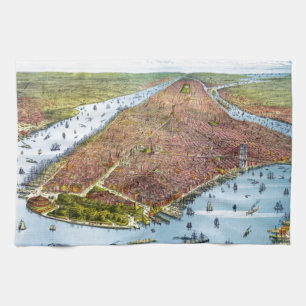  Pictorial Map of New York City (1879) Theedoek