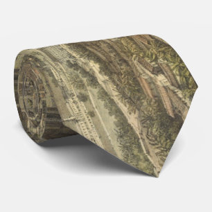 Pictorial Map of Orizaba Mexico (1869) Stropdas