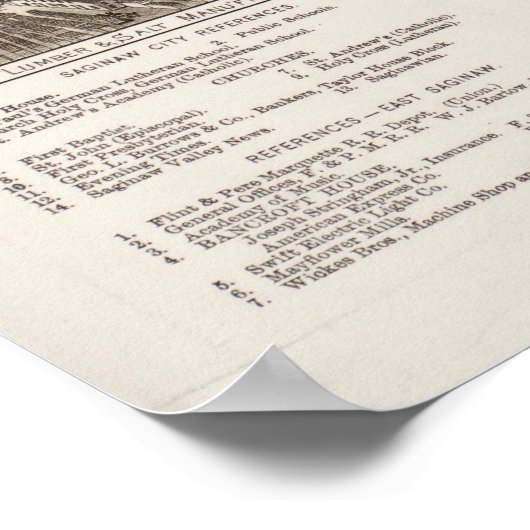 Pictorial Map of Saginaw Michigan (1885) Poster (Hoek)