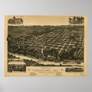  Pictorial Map of Tuscaloosa Alabama (1887) Poster