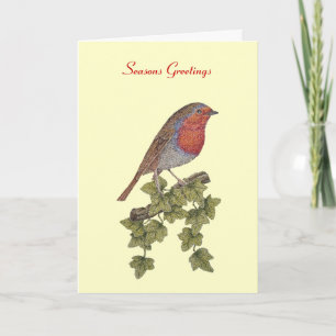 picture of robin perched on ivy leaf christmas feestdagen kaart