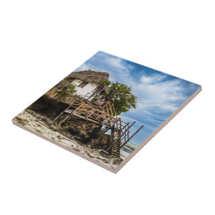 Pictureskast op een tropisch koraal tegeltje
