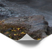 Picturesque Canadian Waterfall, Athabasca-Herfsten Poster (Hoek)