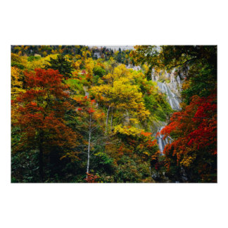 Picturesque Uitzicht van Herfst Hagoromo Herfsten  Perfect Poster