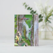 Picus viridis briefkaart (Staand voorkant)