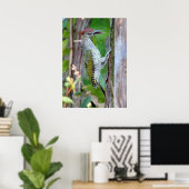 Picus viridis poster (Thuiskantoor)