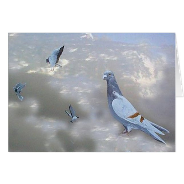 Pidgeons-vogelkaart thuismaken (Voorkant Horizontaal)