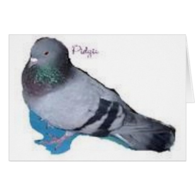 Pidgie Le Fonds Pidgie Pigeon (Devant horizontal)