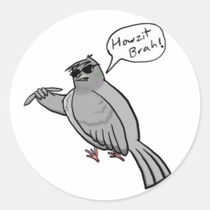 Pidgin duif Sticker