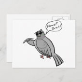 Pidgin Pigeon Briefkaart (Voorkant / Achterkant)