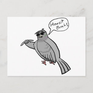 Pidgin Pigeon Briefkaart