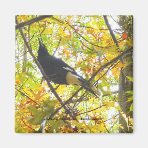Pie d'automne - aimant
