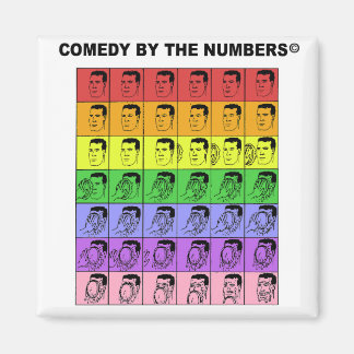 Pie in het gezicht - MAGNET Magneet