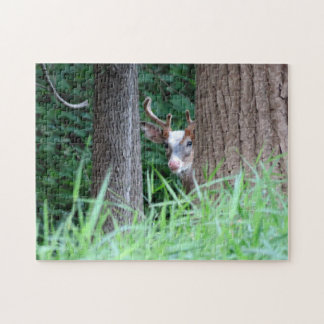 Piebald buck puzzel