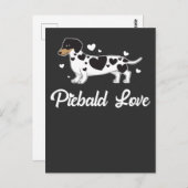 Piebald Dachshund Dog Eigenaar Gift Briefkaart (Voorkant / Achterkant)