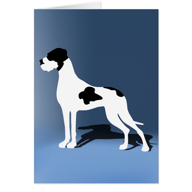 Piebald Great Dane (Devant)