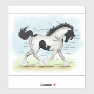 Piebald Gypsy Paard Ruitersport Anatomie Grafiek Sticker