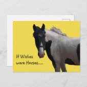 Piebald Paint Pony Briefkaart (Voorkant / Achterkant)