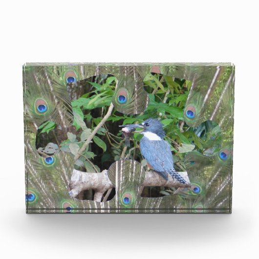 Pièce du Puzzle Pièce du bloc photo (Devant)