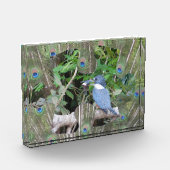 Pièce du Puzzle Pièce du bloc photo (Gauche)