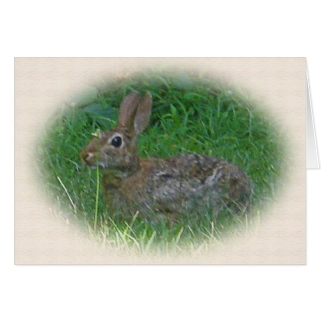 Pièces de coordonnées de lapin de coton (Devant horizontal)
