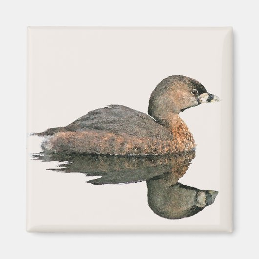 Pied-Billed Grebe Magnet Magneet (Voorkant)