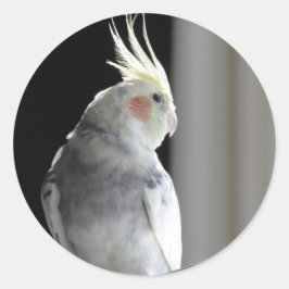 Pied Cockatiel Ronde Sticker