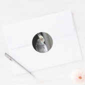 Pied Cockatiel Ronde Sticker (Envelop)