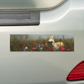 Pied dans un Sticker de pare-chocs de prairie (En voiture)