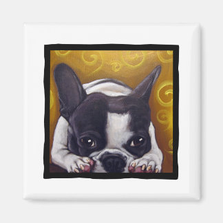 Pied Frenchie Nap Magneet