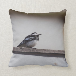 Pied Wagtail Kussen