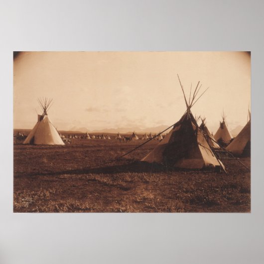 Piegan-ampulp Poster (Voorkant)