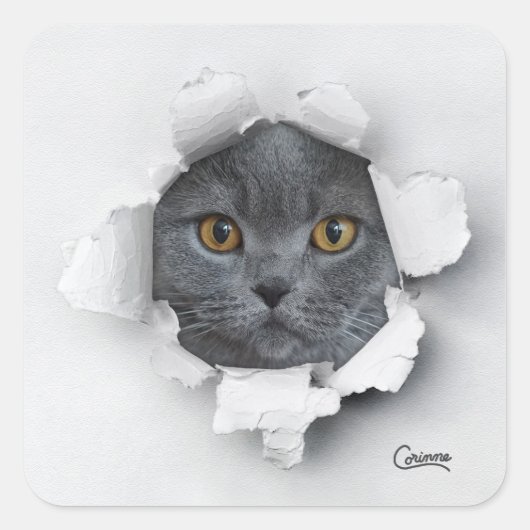 Piège de chat - Stickers d'enveloppe (Devant)
