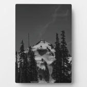 Piek tussen bomen fotoplaat (voorkant)