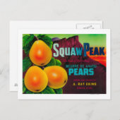 PiekperenkratProvo, UT Briefkaart (Voorkant / Achterkant)