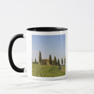 Pienza, Val d'Orcia, provincie Siena, Toscane, Mok