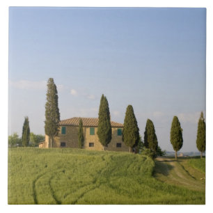 Pienza, Val d'Orcia, provincie Siena, Toscane, Tegeltje