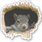 Piep. - grijze eekhoorn sticker (Voorkant)
