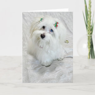 piepkleine schat kaart